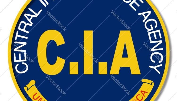 الاستخبارات الأمريكية تكشف آخر أفعال الإمارات في السودان وتتحدث عن أسلحة في دارفور