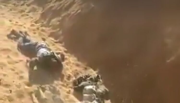 بالفيديوهات.. الدعم السريع تنفذ عمليات تصفية “وحشية” رميًا بالرصاص لمواطنين عُزل