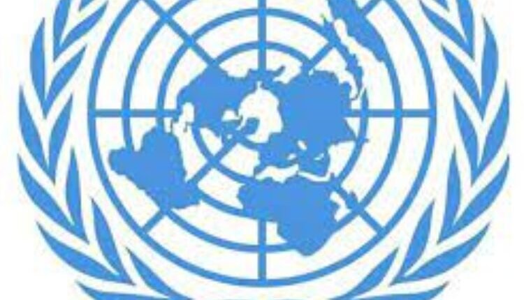 أخيرا.. الأمم المتحدة تتخذ إجراء ضد انتهاكات “الدعم السريع”