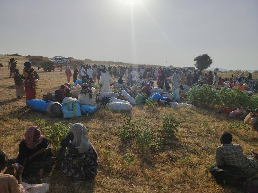 بالفيديو.. هروب مئات المواطنين من "قسوة" الدعم السريع في الفاشر ووفاة طفلتين.. قطعوا أكثر من 60 كيلومترًا