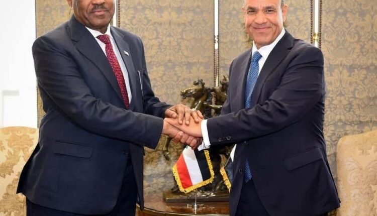 تحركات بين وزيري الخارجية المصري والسوداني بشأن تسوية شاملة لأزمة السودانيين في القاهرة