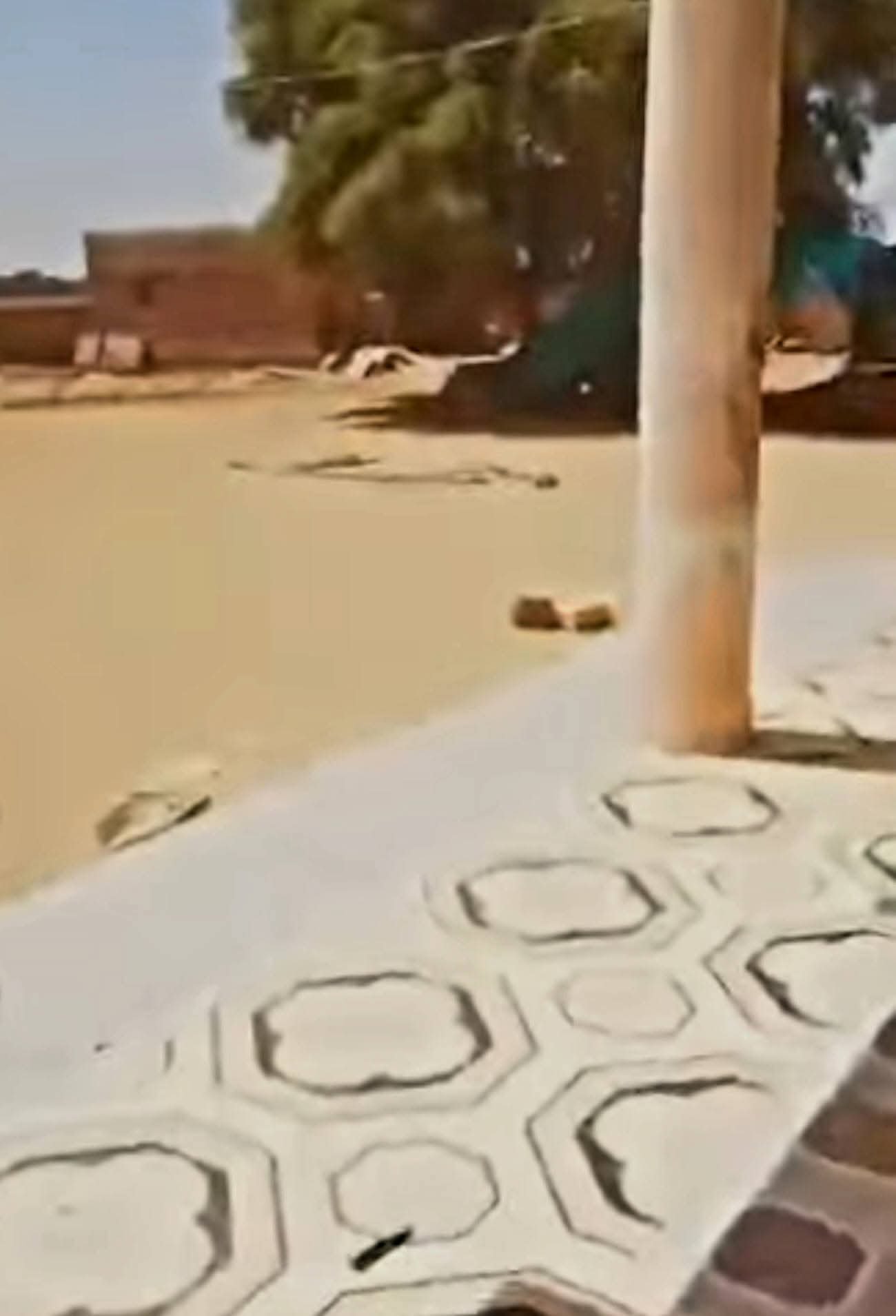 الدعم السريع تستبيح منزل وإستراحة موسى هلال وعمليات قتل وتخريب واسعة ضد المدنيين