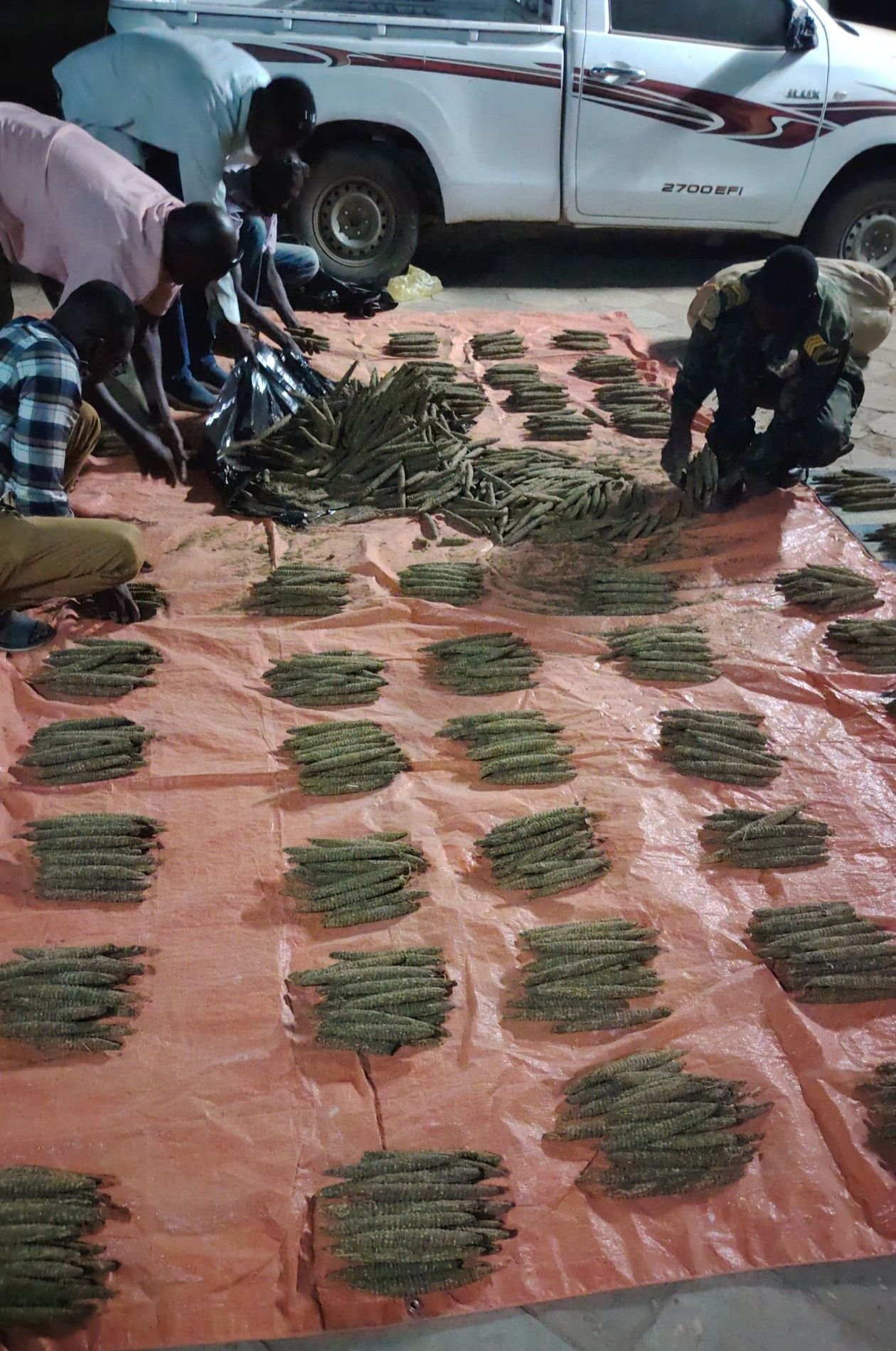 قوة من الإستخبارات العسكرية والمخابرات تنفذ عملية قبض نوعية على متهمين بينهم إمرأة في جريمة خطيرة