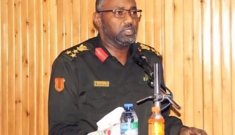 طارق الهادي: يا عبير تعالي..أطروحة في كتاب القيادة السياسية والسوشيال ميديا