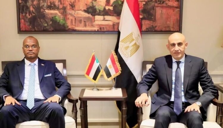 تحركات بين وزيري التعليم بشأن المدارس السودانية في مصر