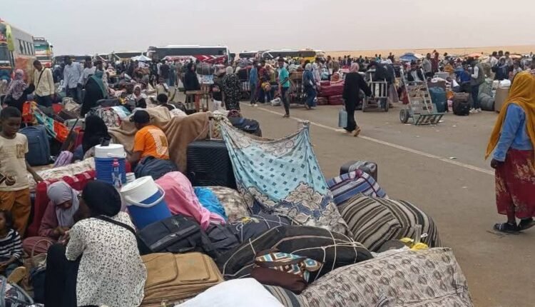 سودانيون عائدون من مصر عبر معبر أرقين يواجهون أوضاعًا مأساوية وحدوث وفيات وإحتيال”فيديو”