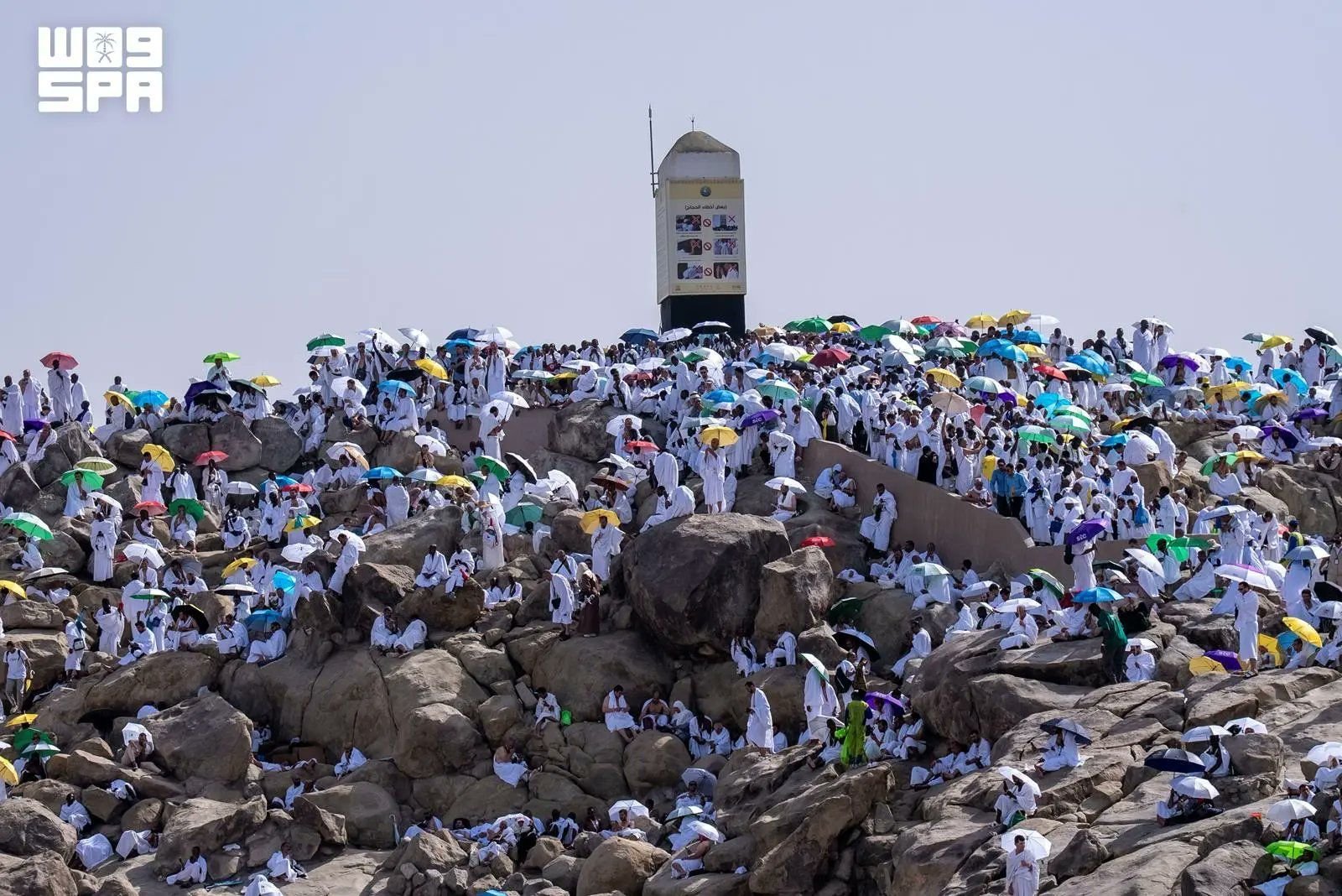 السعودية تعلن نجاح نفرة الحجاج من عرفات إلى مزدلفة..قلوب خاشعة ولسان يردد نداء واحدًا لبيك اللهم لبيك السعودية تعلن نجاح نفرة الحجاج من عرفات إلى مزدلفة..قلوب خاشعة ولسان يردد نداء واحدًا لبيك اللهم لبيك