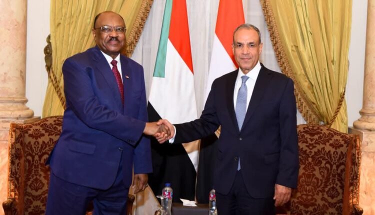 تفاصيل مباحثات بين وزيري خارجية مصر والسودان ودعوة لوقف إطلاق النار وهدنة إنسانية