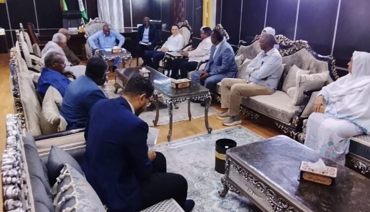 تحرك حكومي لسد فجوة المحولات الكهربائية بولاية الجزيرة