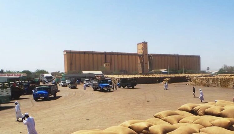 “4” محاصيل تتصدر المشهد.. تغيرات مفاجئة في بورصة القضارف