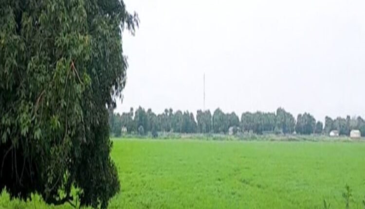 قوات السيليكا تتوغل داخل السودان