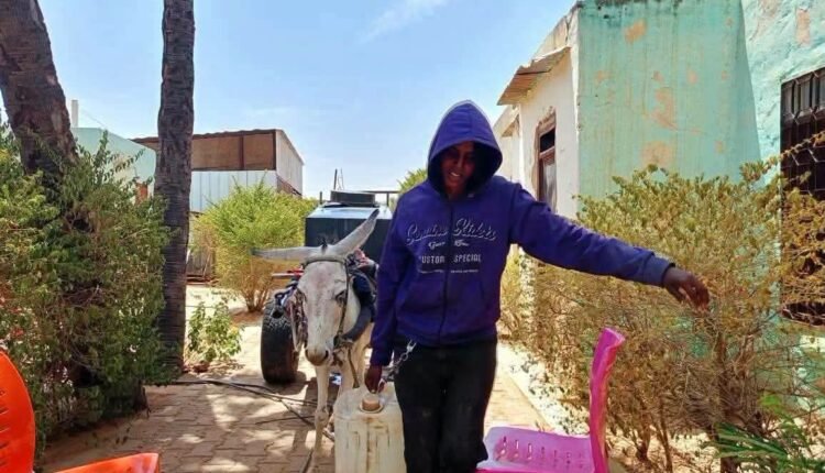 تفاعل واسع مع قصة منى.. بائعة الماء التي ألهمت السودانيين