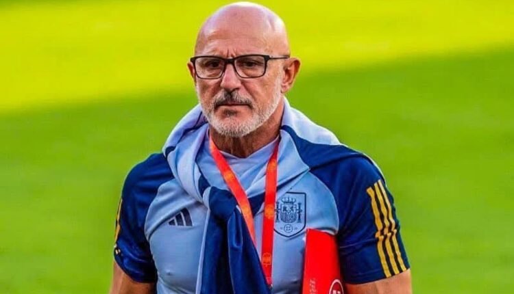 “18” شهرا من البطالة إلى نهائي كأس العالم .. كيف أعاد مدرب إسبانيا كتابة مصيره؟