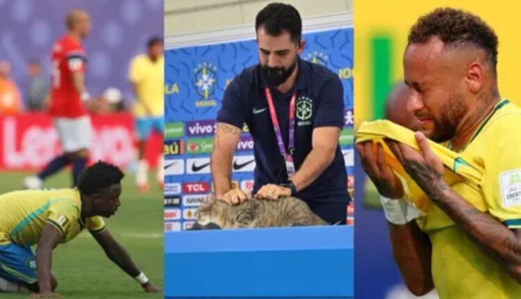 أطلقوا عليها “هيكسا” فجاءت النكسة.. لعنة القطة تطارد منتخب البرازيل