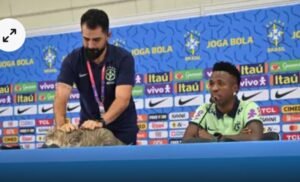 أطلقوا عليها "هيكسا" فجاءت النكسة.. لعنة القطة تطارد منتخب البرازيل أطلقوا عليها "هيكسا" فجاءت النكسة.. لعنة القطة تطارد منتخب البرازيل
