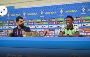أطلقوا عليها "هيكسا" فجاءت النكسة.. لعنة القطة تطارد منتخب البرازيل أطلقوا عليها "هيكسا" فجاءت النكسة.. لعنة القطة تطارد منتخب البرازيل