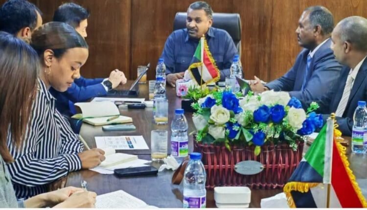 البنك الدولي يعلن حزمة تمويل جديدة إلى السودان بقيمة 176 مليون دولار