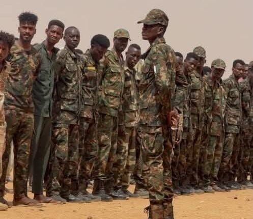 فتحي هلال: قواتنا ستبقى في مقدمة المعركة حتى القضاء على التمرد