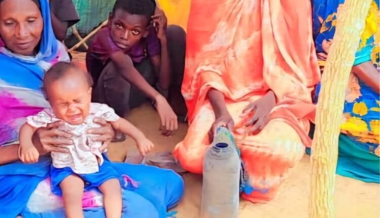 900 أسرة بين الجوع والأمطار.. منظمات تدق ناقوس الخطر في شرق دارفور