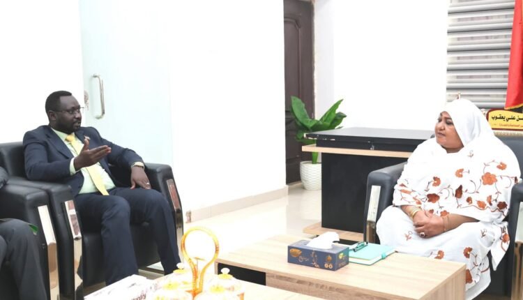 مجمعات صناعية ومشروعات زراعية.. تحرك حكومي لتحويل النازحين إلى قوة إنتاجية