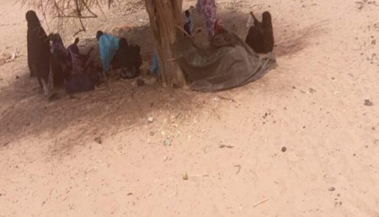 شهود يكشفون تفاصيل العثور على 30 جثة على طريق النزوح من الفاشر