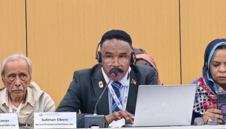 السودان يفاجئ الصين والدول العربية بمقترح غير متوقع