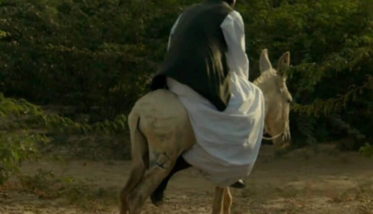 السينما السودانية تزاحم في العالمية وتتوج بجائزة أوروبية مرموقة