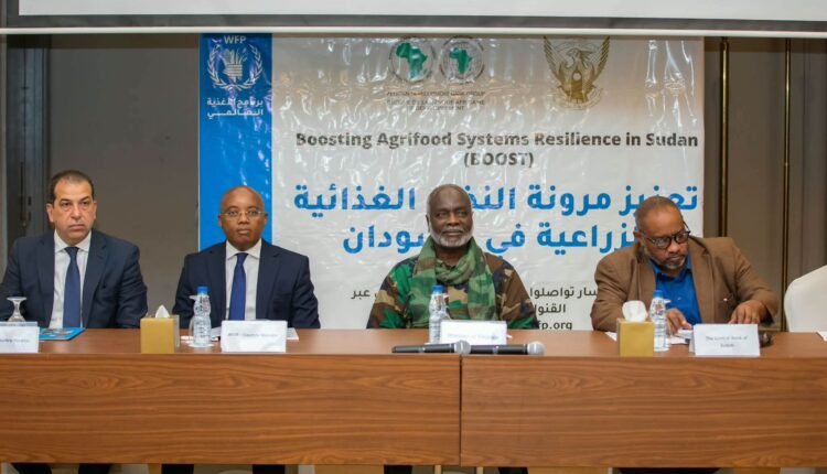 87 مليون دولار لإنعاش الزراعة.. السودان يطلق مشروعًا لدعم أكثر من 232 ألف أسرة