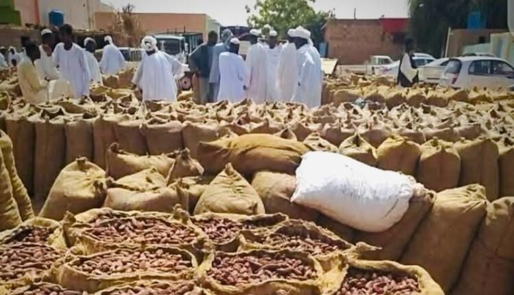 من جوالين قمح إلى كيلو ونصف لحم.. ماذا حدث لقيمة البلح في الشمالية؟