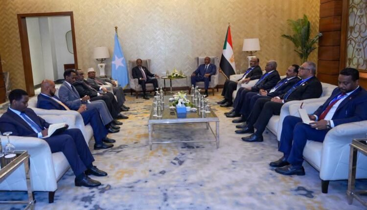 البرهان يلتقي رؤساء بوروندي وإريتريا والصومال في العلمين