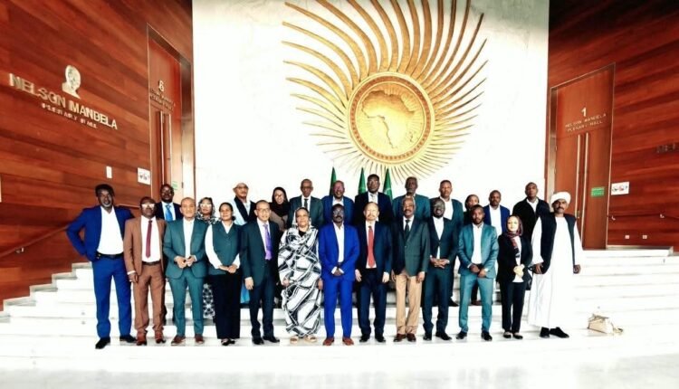 حزب الأمة القومي يدعو إلى تسريع العملية السياسية لإنهاء الحرب في السودان
