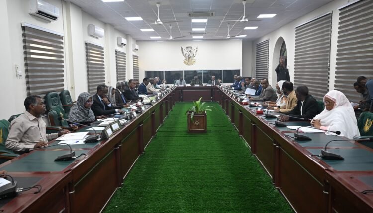 الحكومة السودانية تتحرك لتوطين الصناعات الدوائية