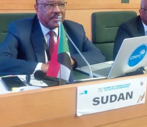 السودان يدعو إلى آلية أفريقية موحدة لمواجهة قوات الدعم السريع والجماعات الإرهابية