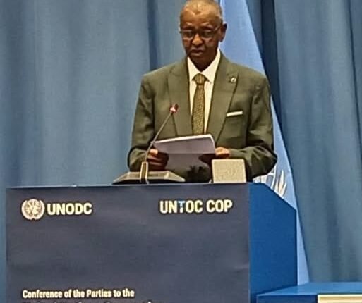 السودان يدعو إلى تعزيز التعاون الدولي لمكافحة الجريمة المنظمة في مناطق النزاعات