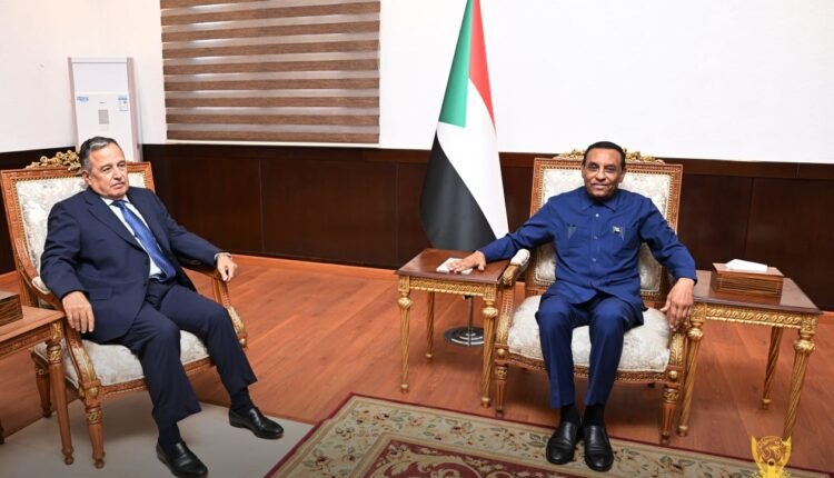 كامل إدريس يبحث جهود السلام مع نبيل فهمي.. والأخير يؤكد دعم الحوار السوداني