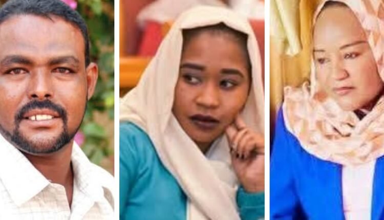 نقابة الصحفيين السودانيين تدين التضييق على الصحفيين بالنيل الأبيض وتطالب بالإفراج عن رشا حسن